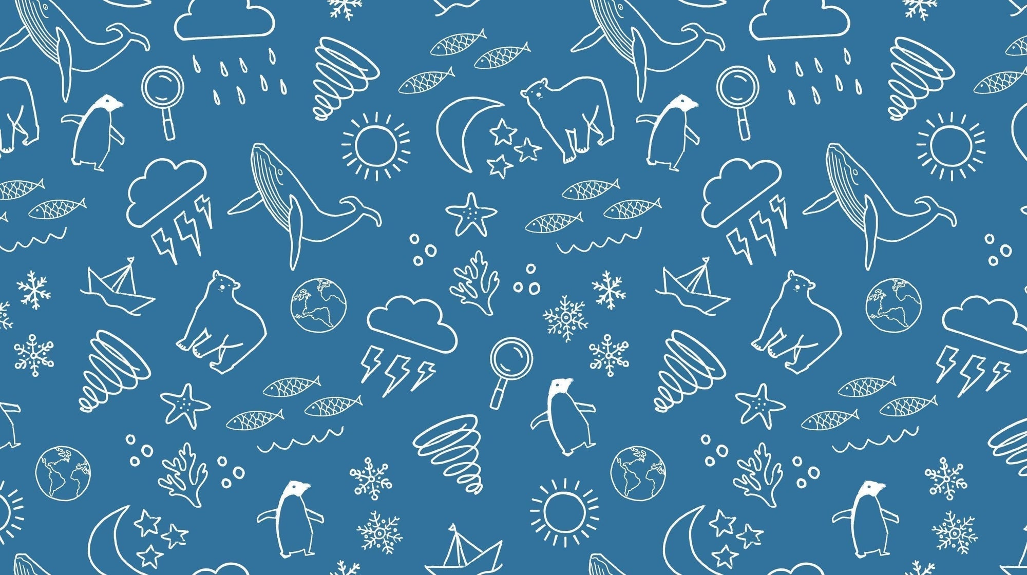 BONUS: Adorable Adélie penguins