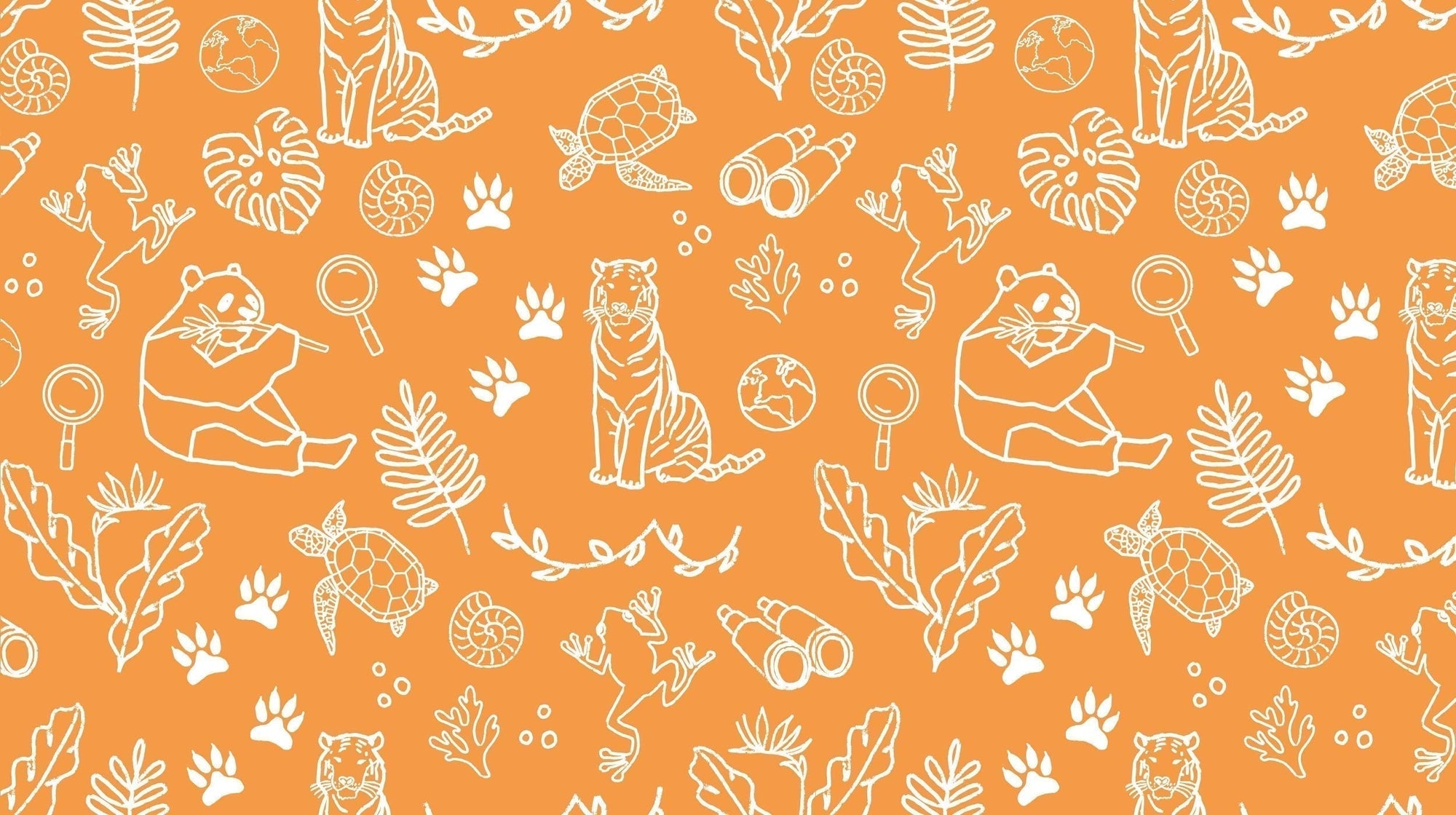 BONUS: Marvellous marine turtles