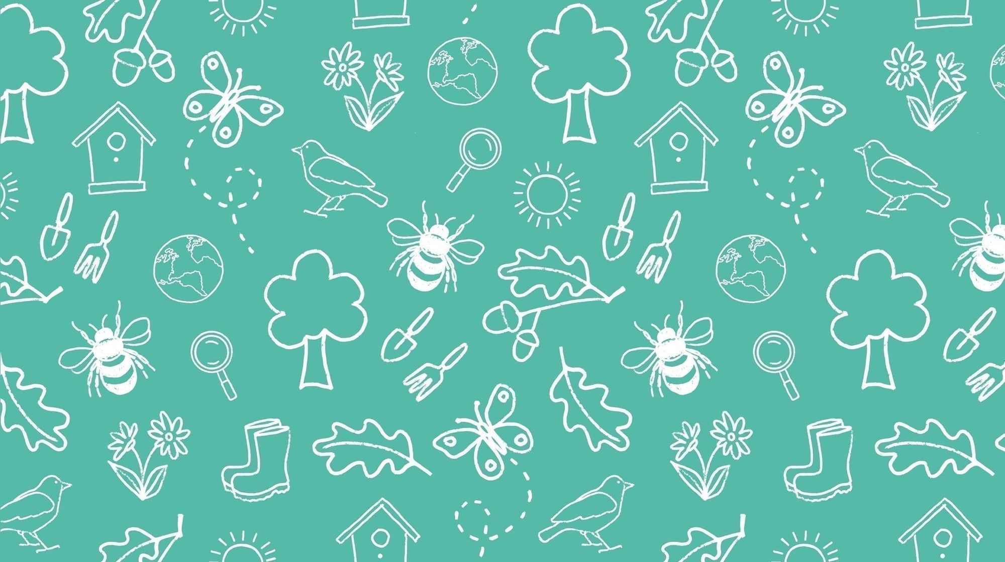 BONUS: The secret life of birds