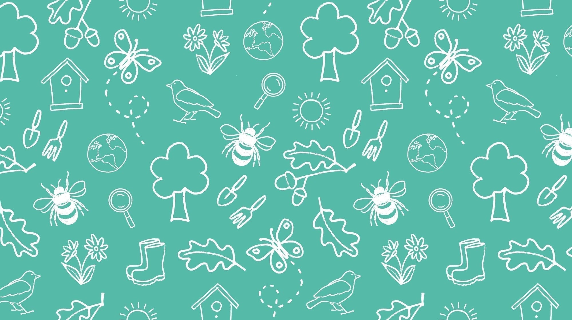 BONUS: Incredible insects