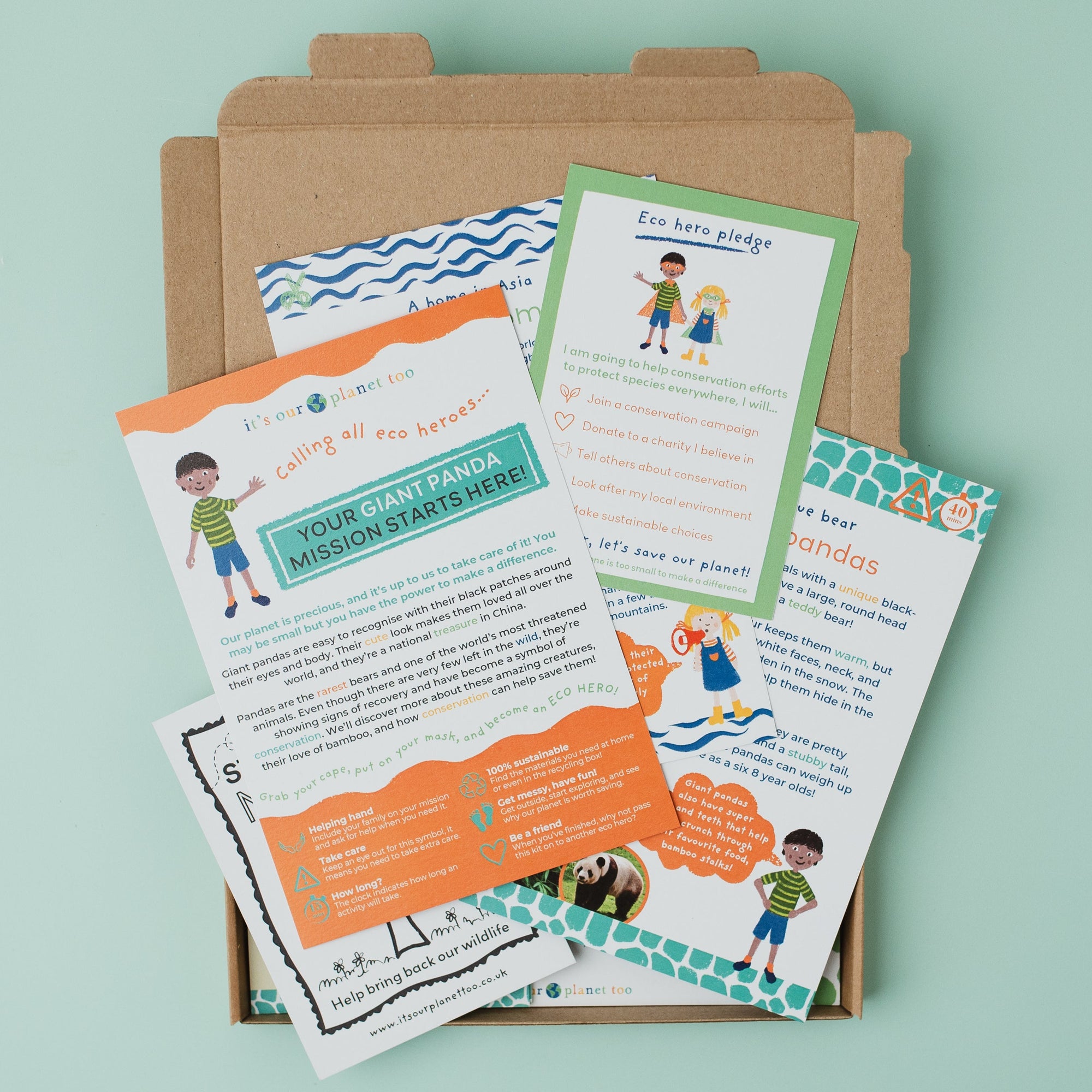 Educational materials with children's illustrations on a light green background