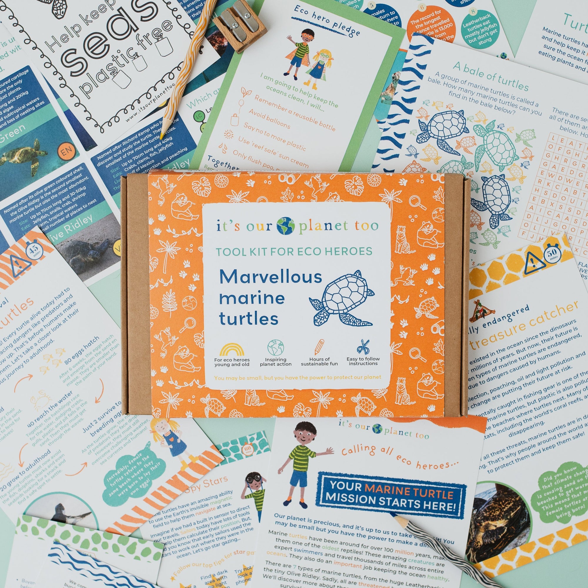 Educational materials on marine turtles with colorful design and text.