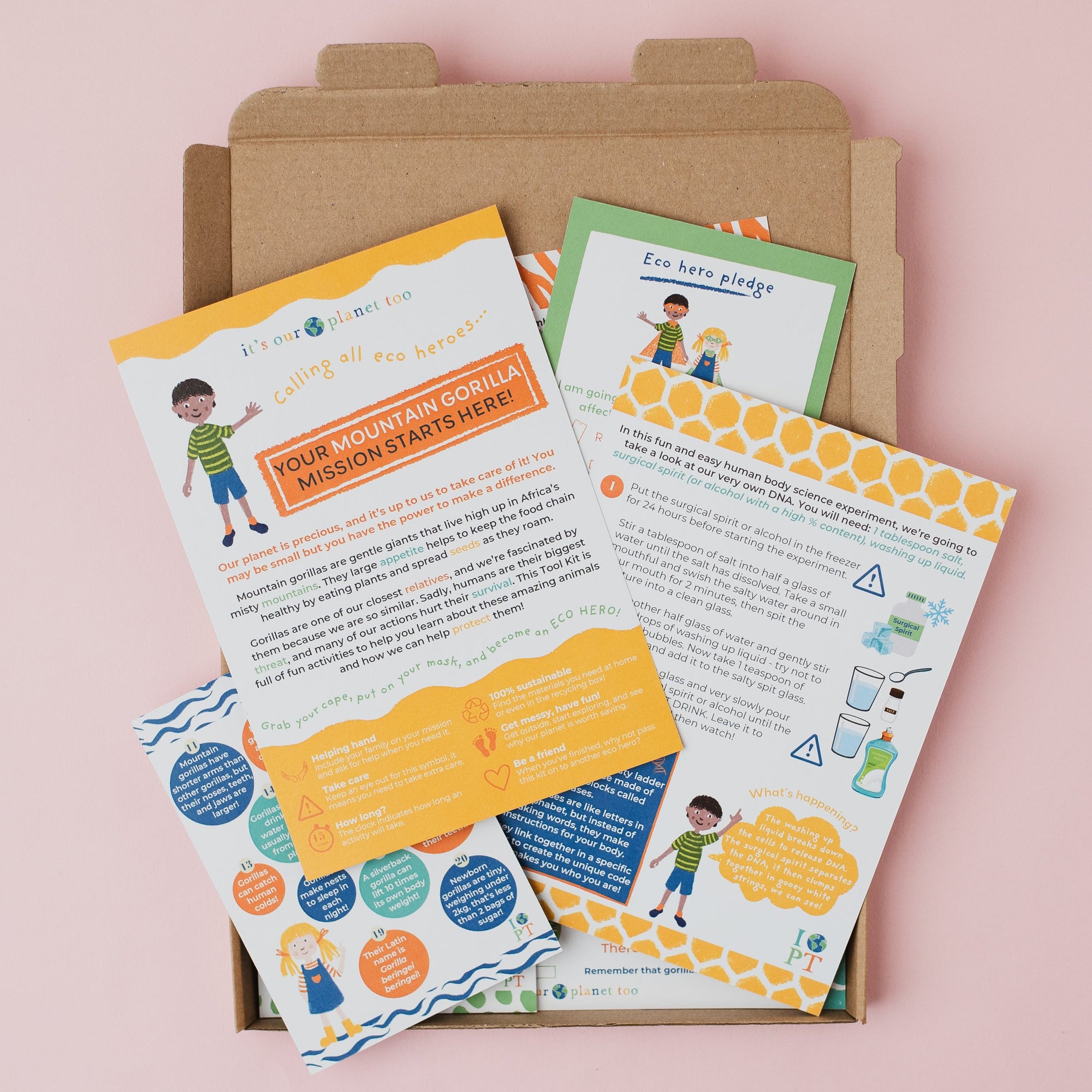 Educational materials with colorful designs on a pink background