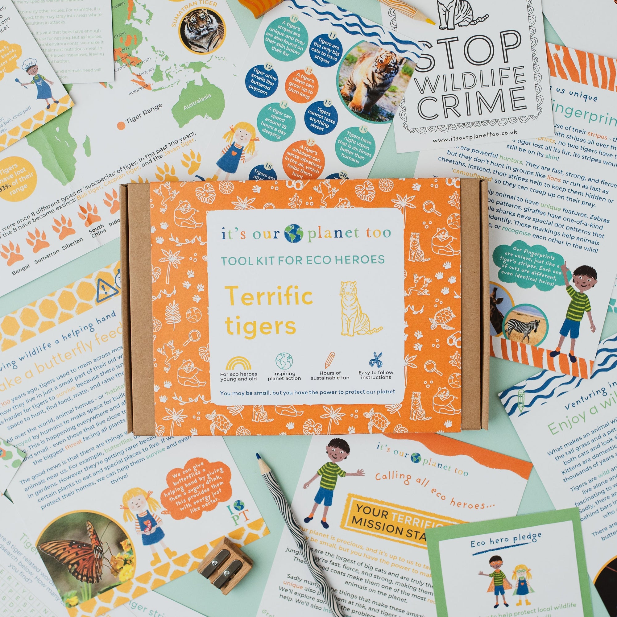 Educational materials and a box labeled 'Terrific Tigers' on a surface with various cards and posters.