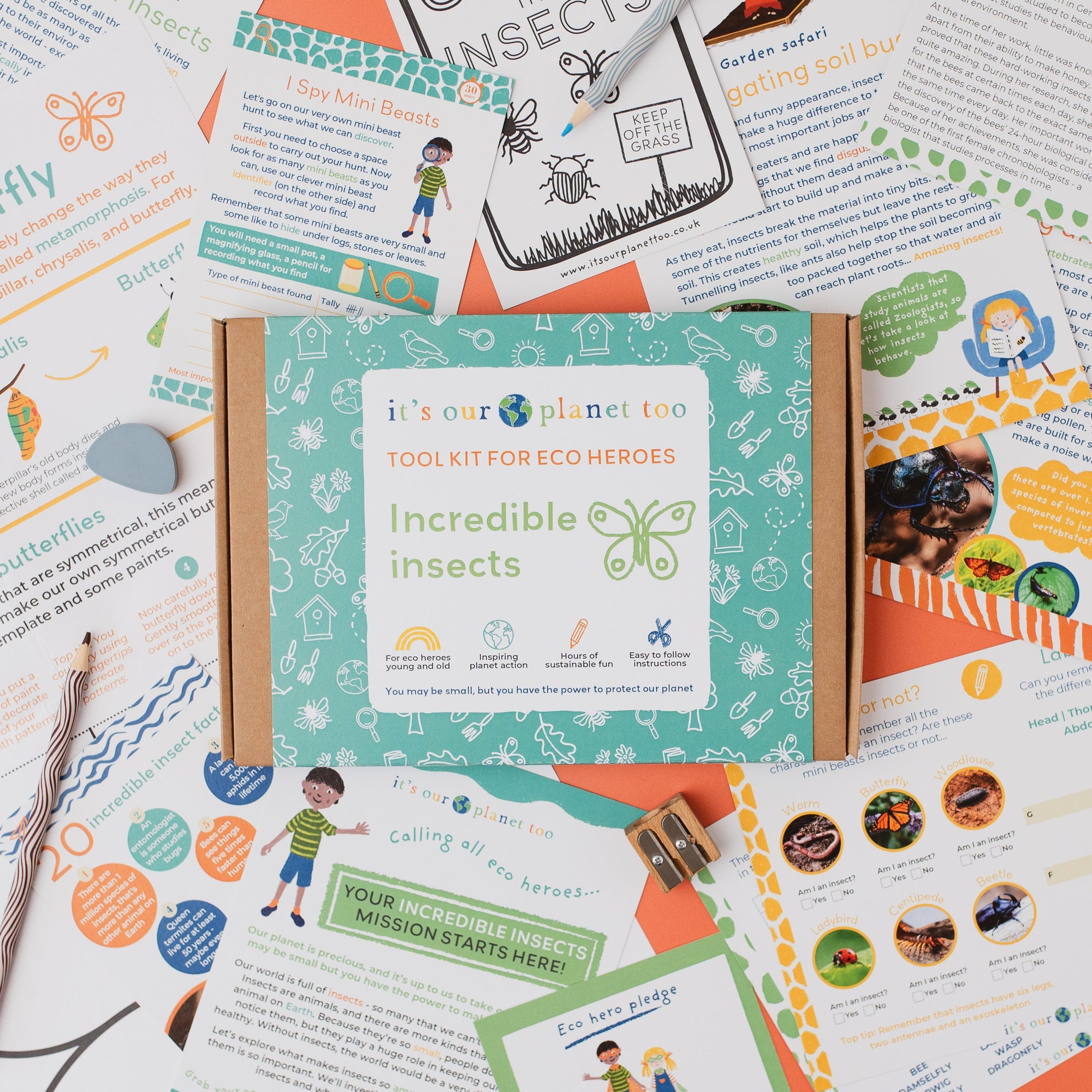 Educational kit for children with colorful materials and text about insects.