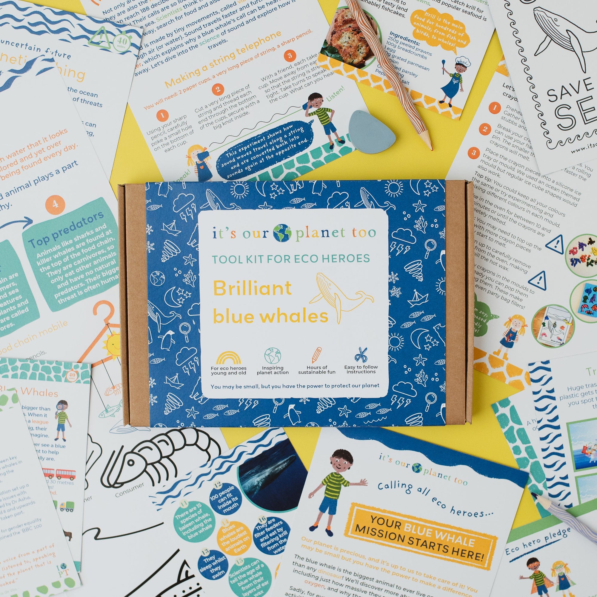 Educational materials and a box labeled 'Brilliant Blue Whales' on a colorful background.