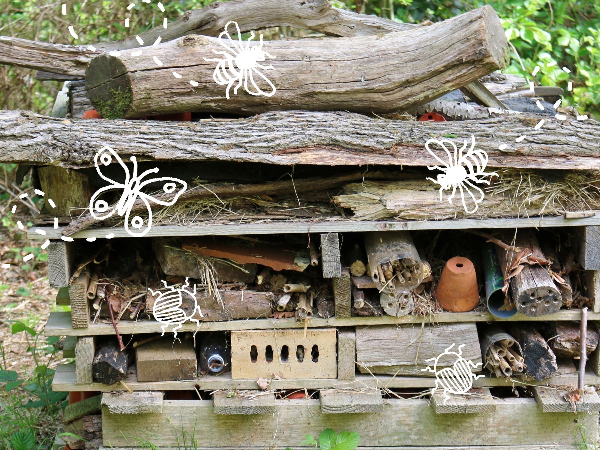 Build a hotel for mini beasts