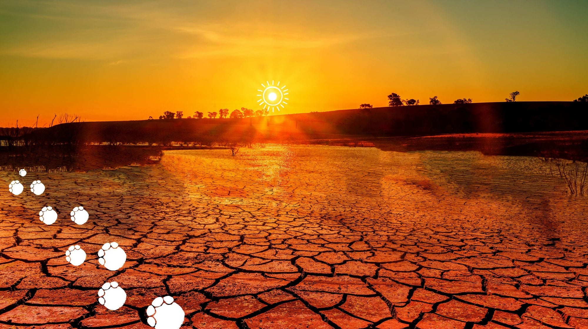 Climate change
