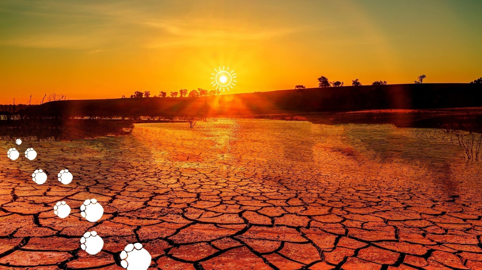 Climate change