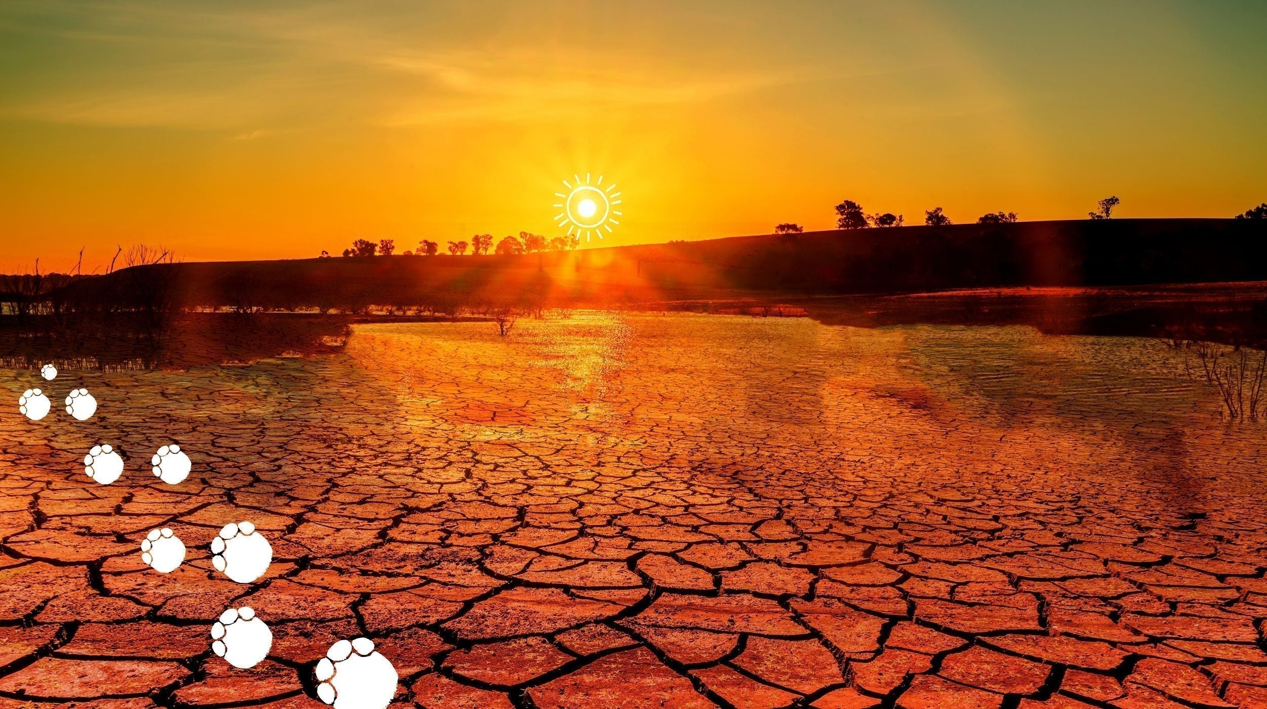 Climate change