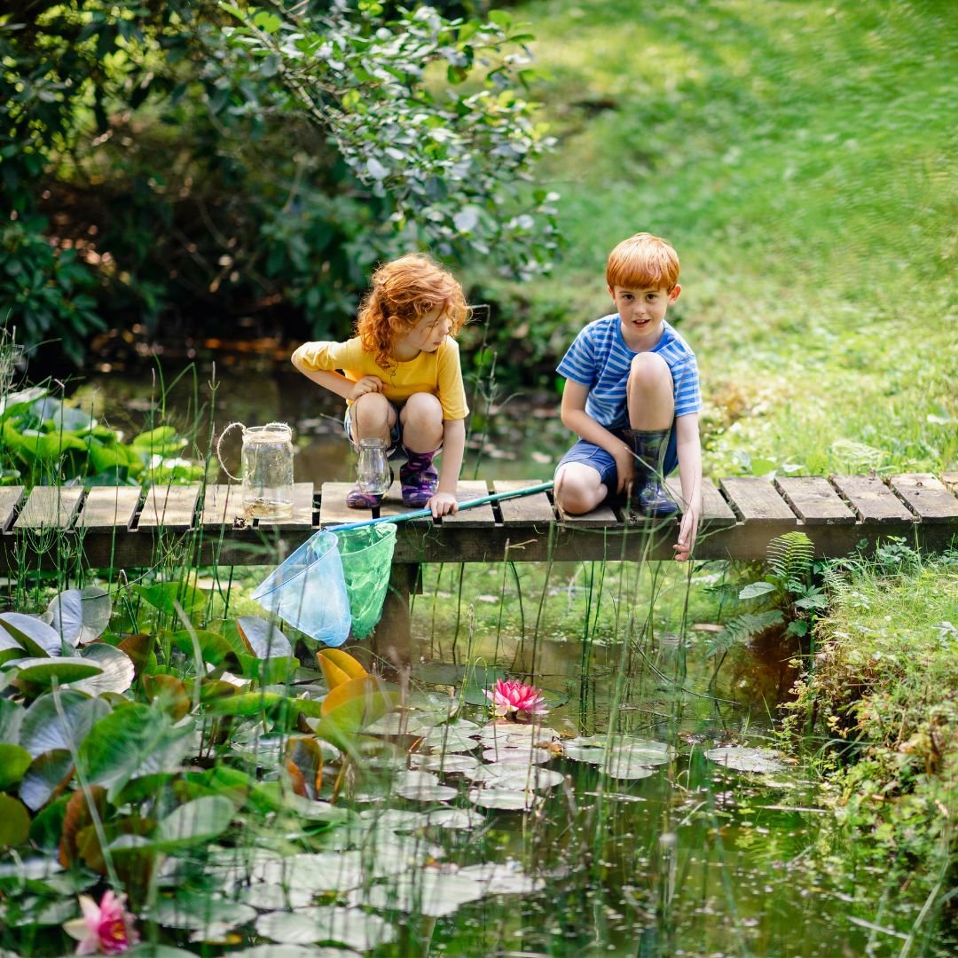 Wet, wild, wonderful... What are wetlands and why are they so important?