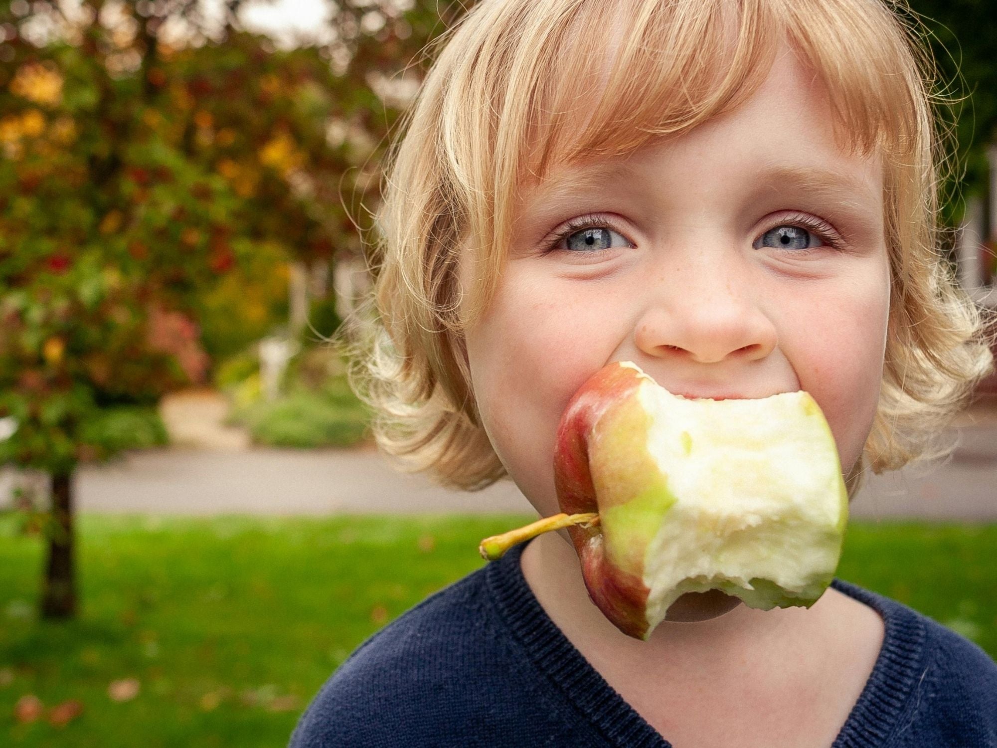 10 family friendly tips for eco living