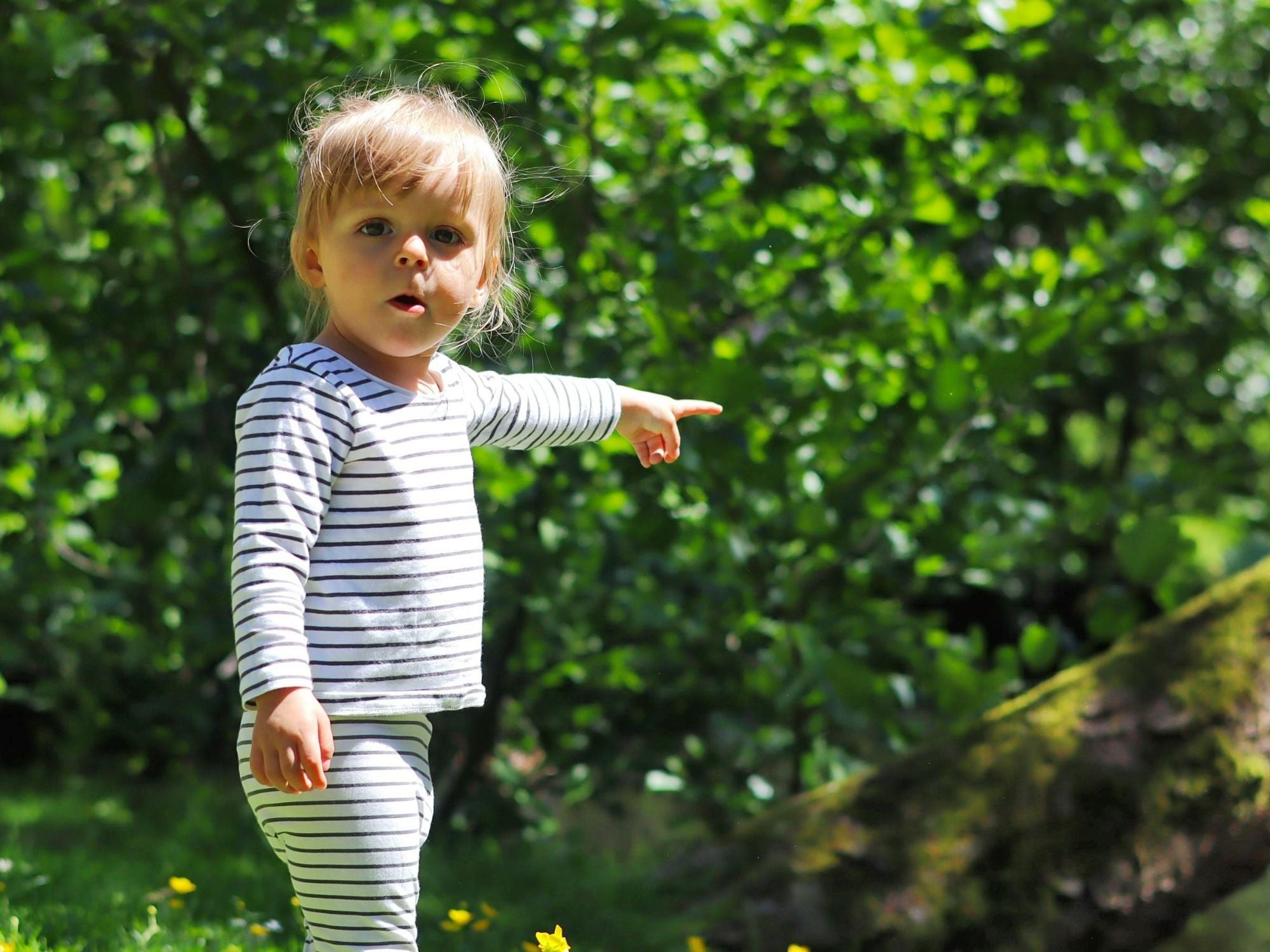 Top 10 ideas for eco-friendly summer activities
