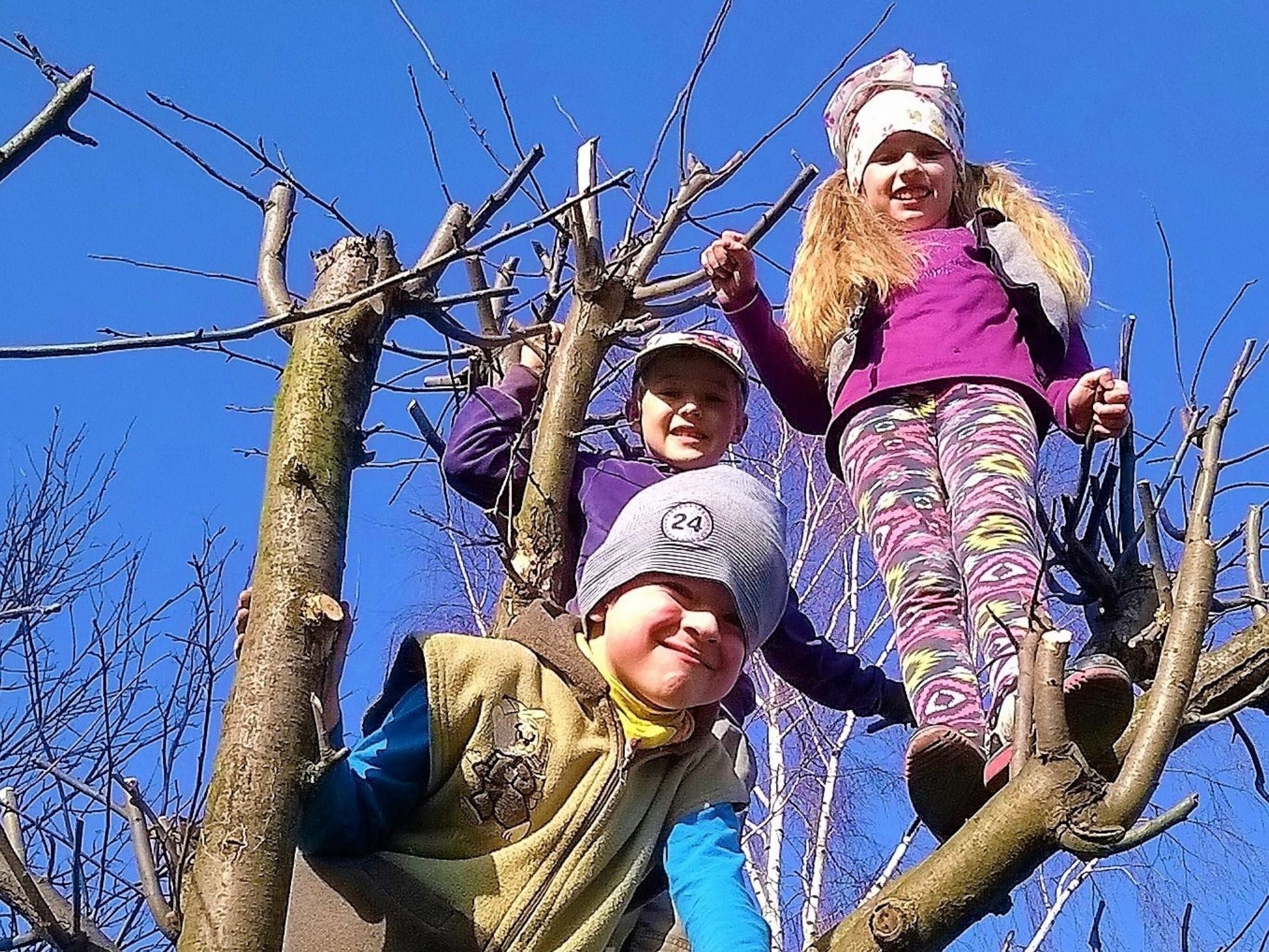 TREE-MENDOUS: Let's celebrate these giants of nature