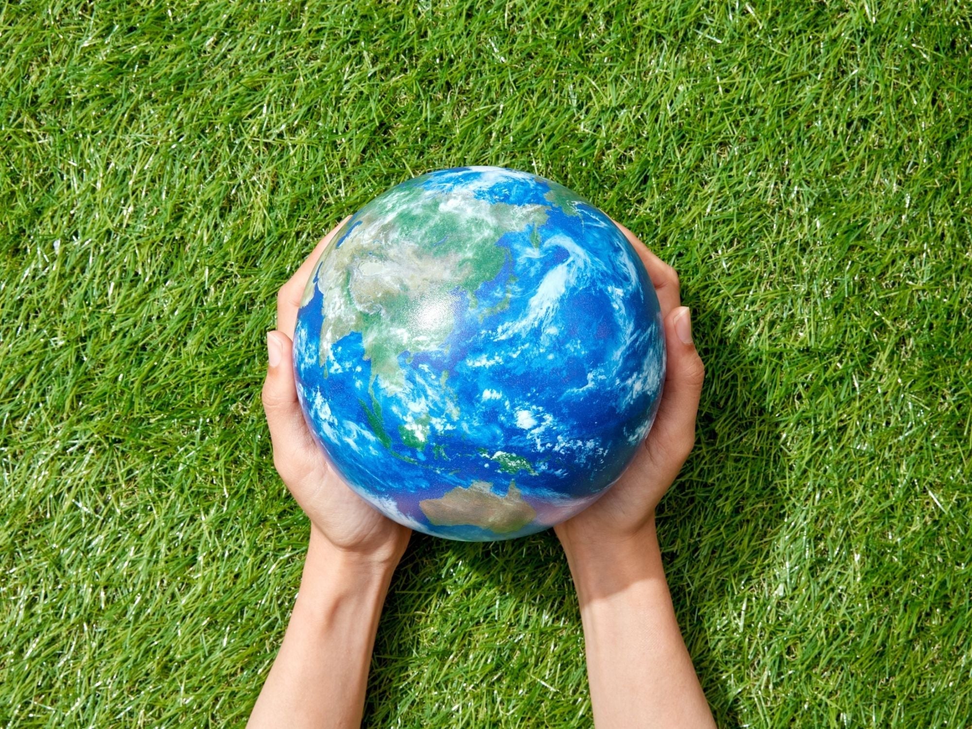 Child friendly glossary of environmental words