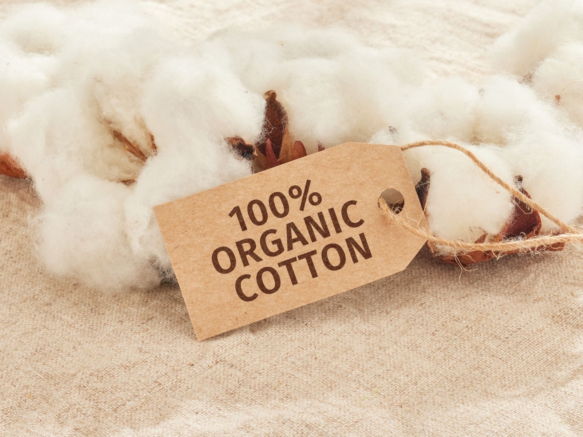 Digging into what 'organic' means and what to trust