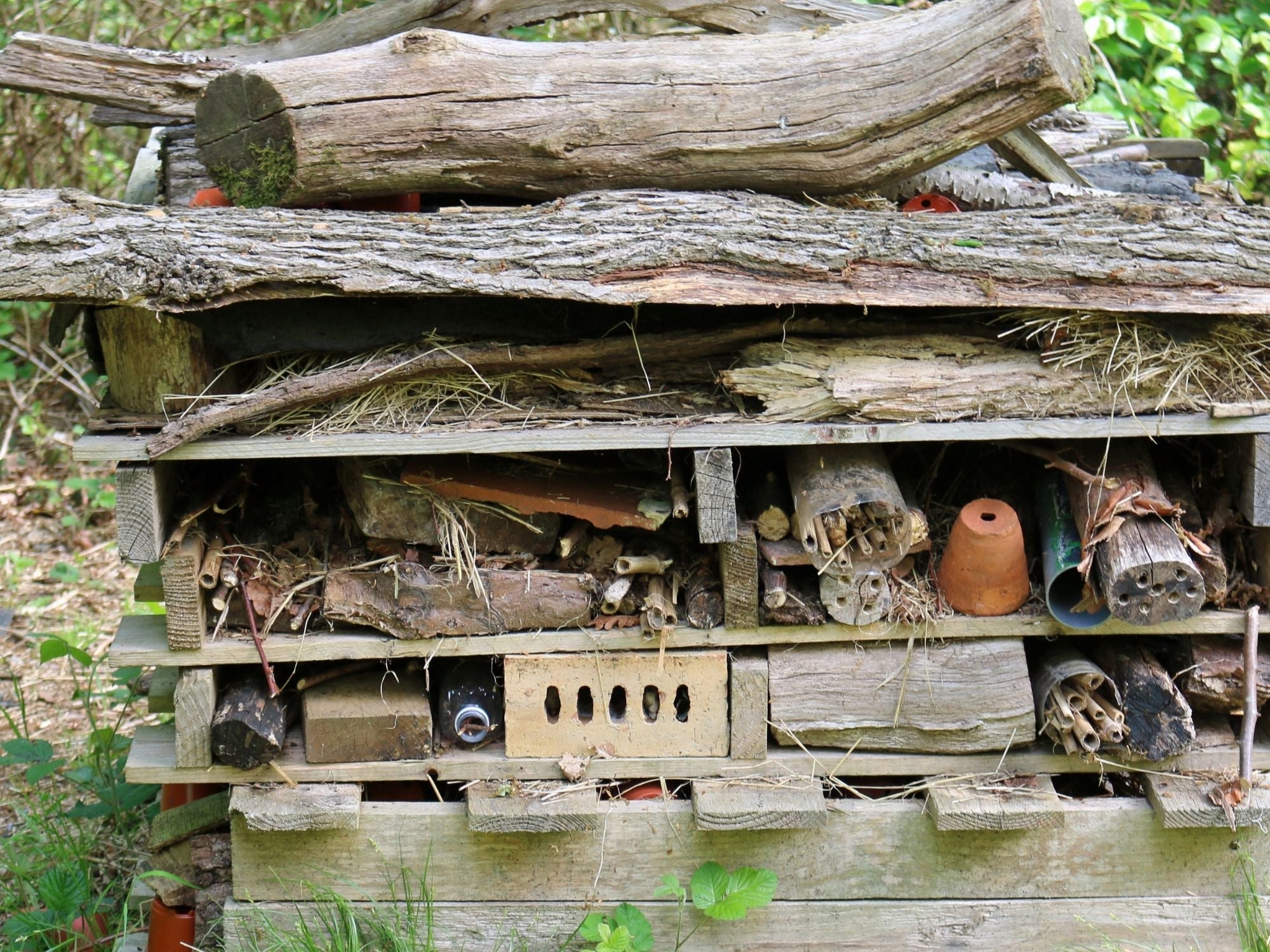 Build a hotel for mini beasts