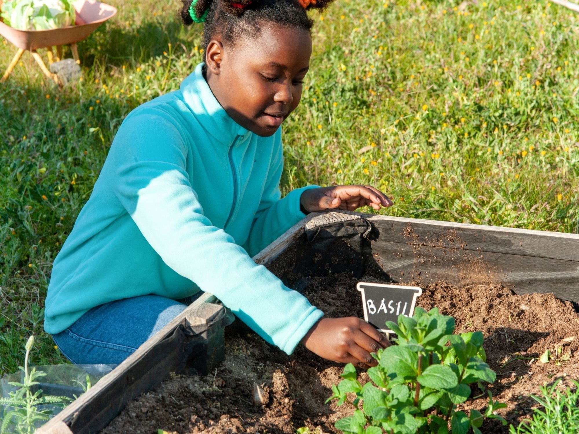 Get gardening