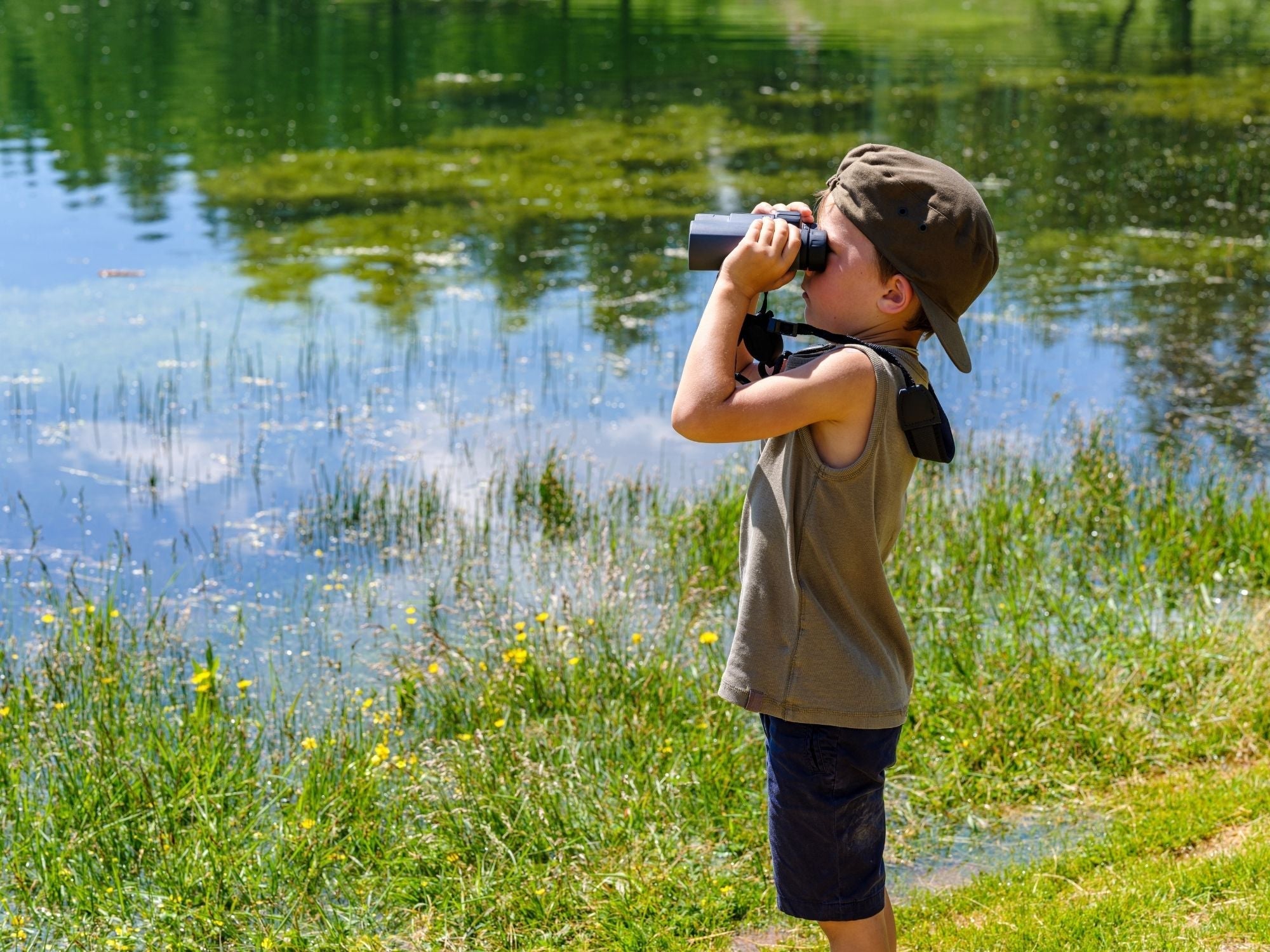 Go bird watching