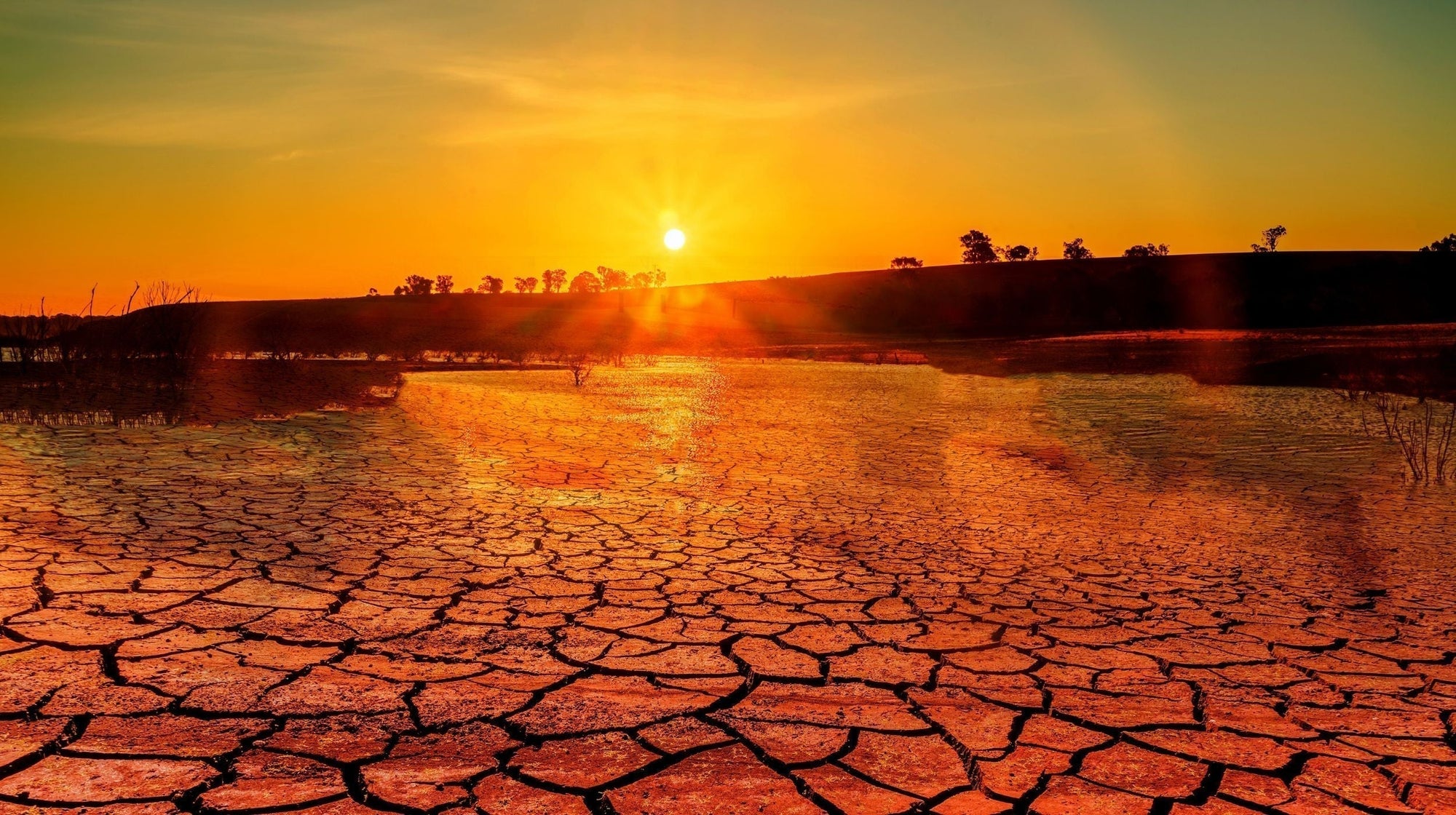 Climate change