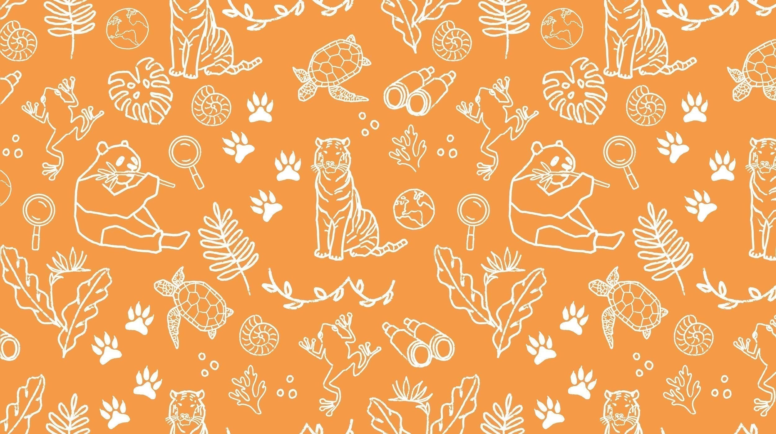 BONUS: Terrific tigers