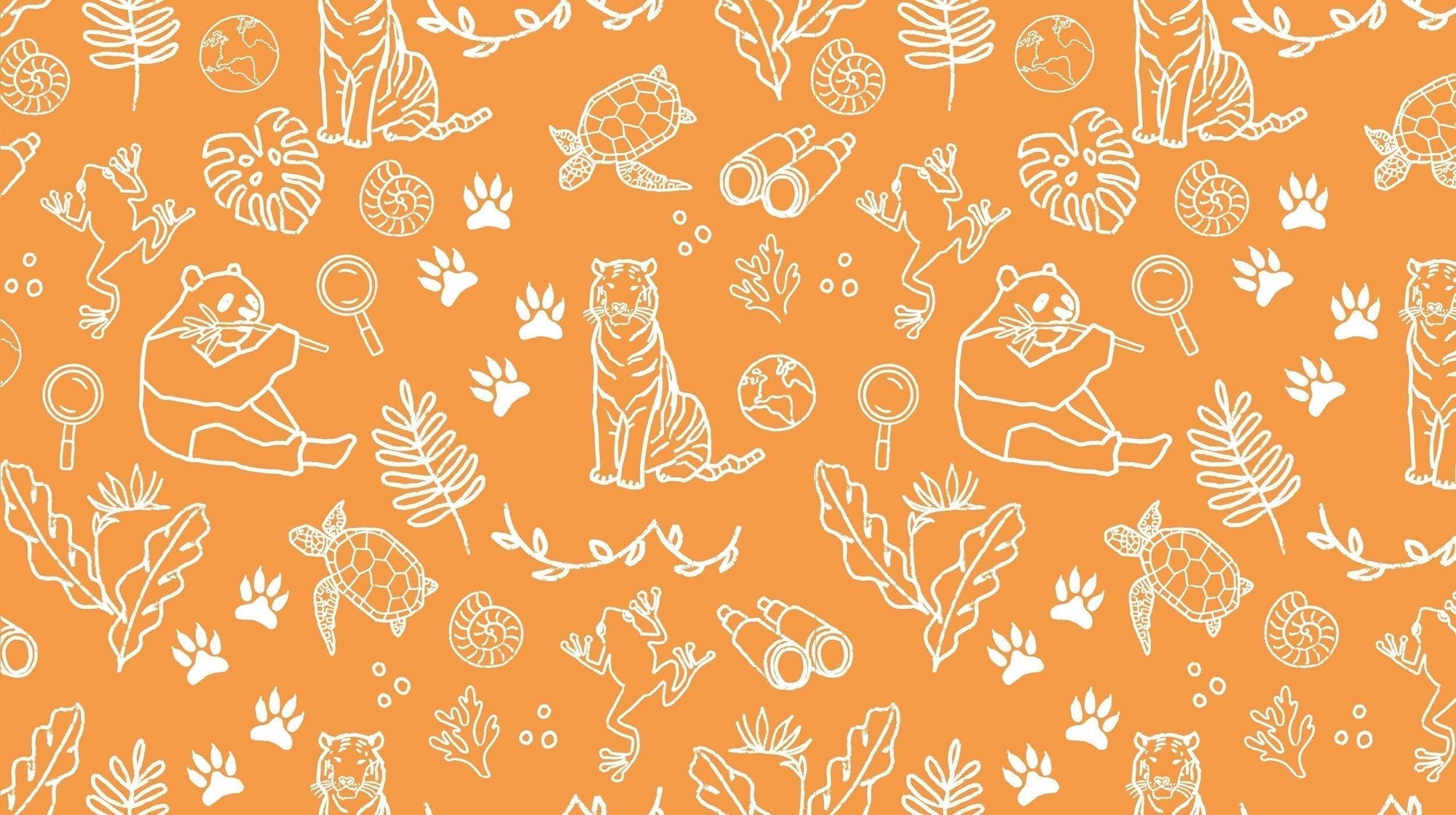 BONUS: Totally tropical rainforests