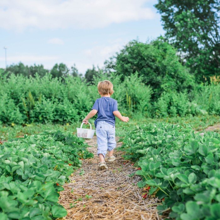 10 family friendly tips for eco living