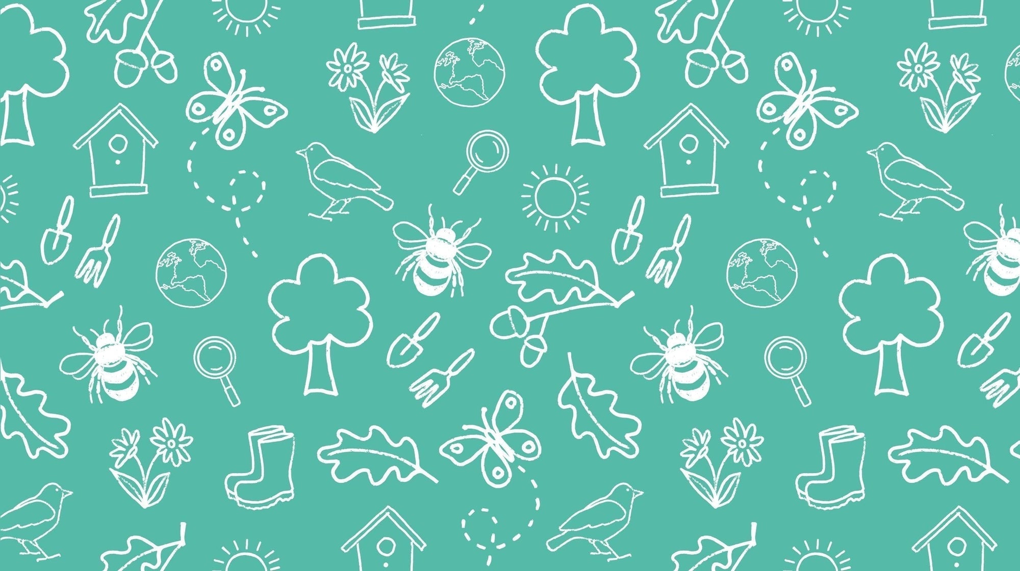 BONUS Buzzing bees