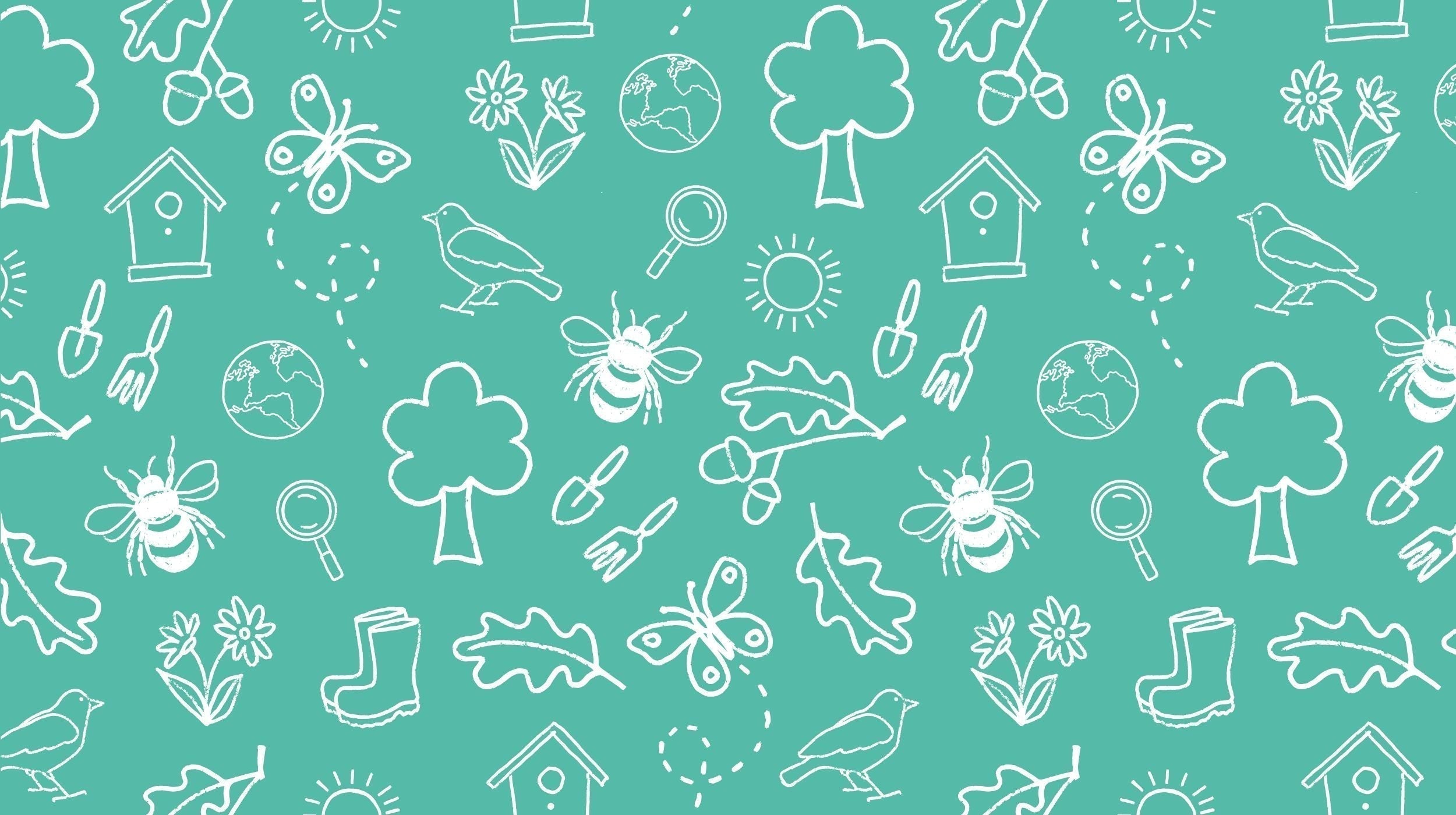 BONUS Buzzing bees