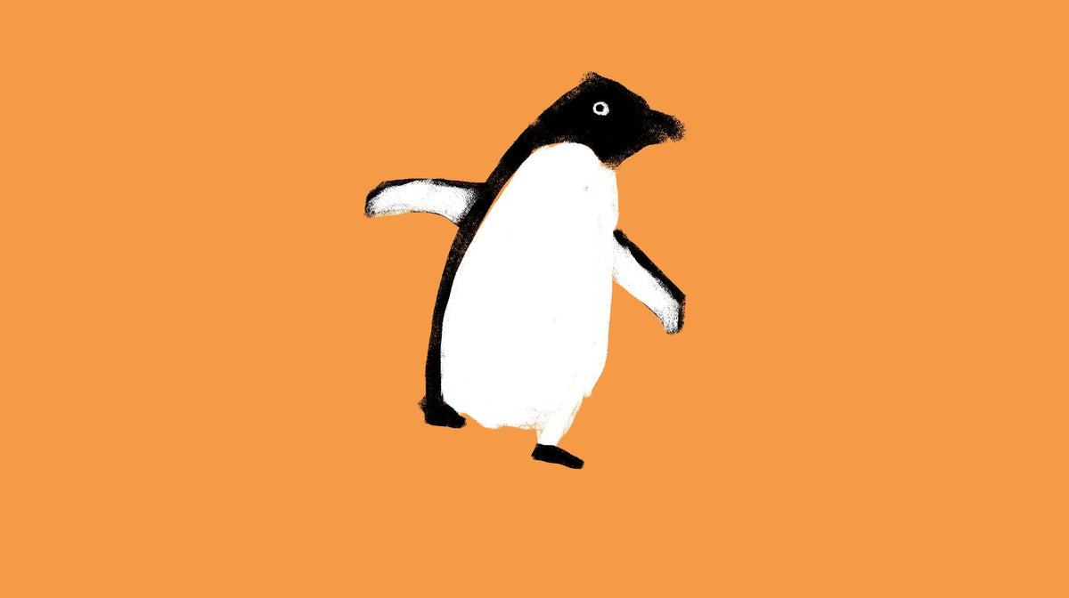 The Adélie penguins story