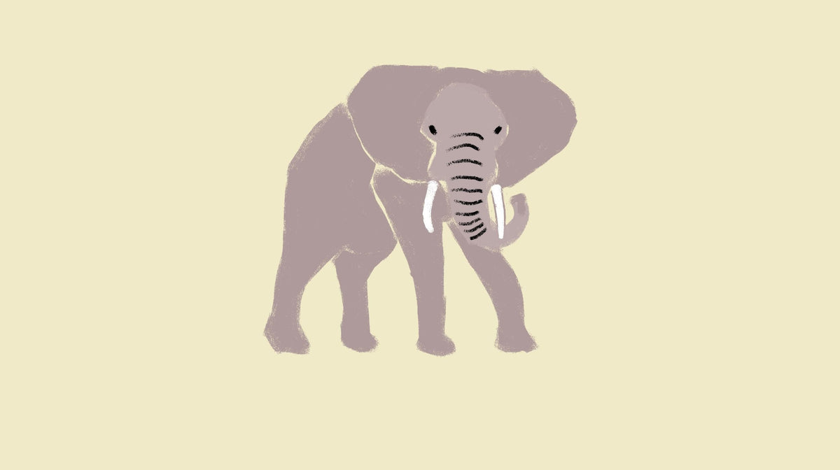 The African Elephant’s Story