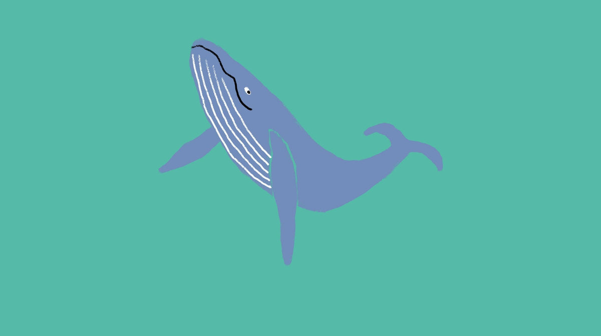 The Blue Whale's Story