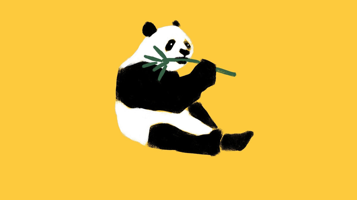 The Giant Panda's Story