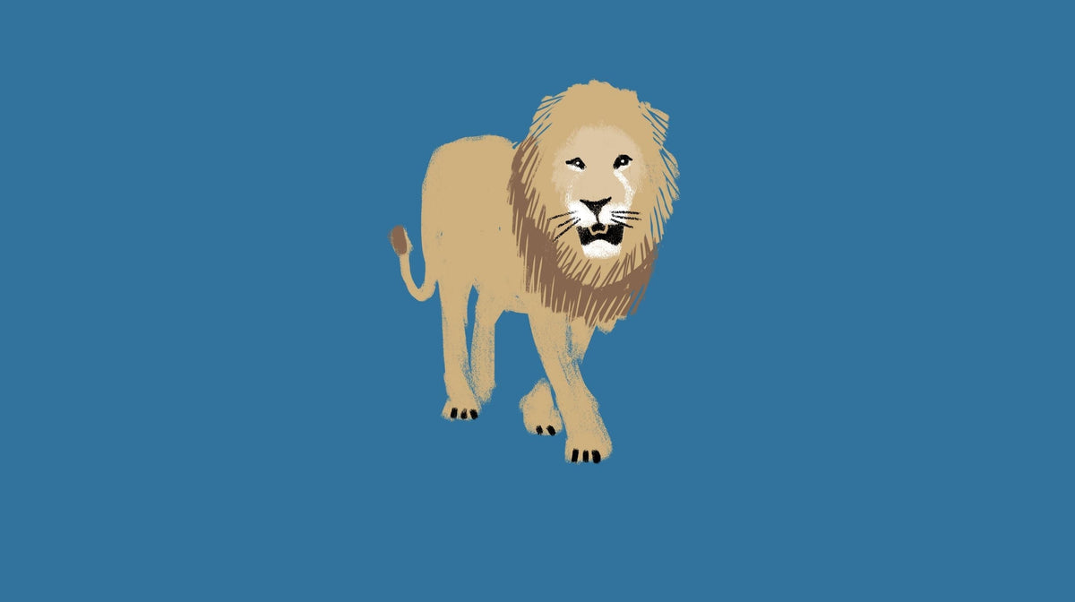 The Lion's Story