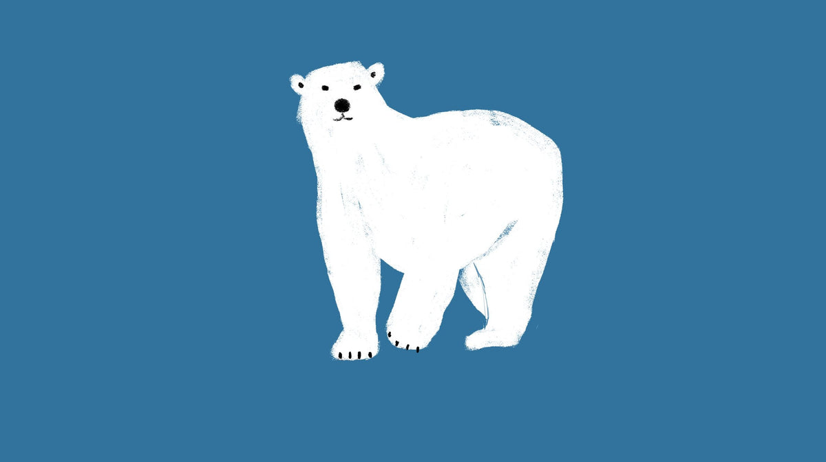 The Polar Bear's Story