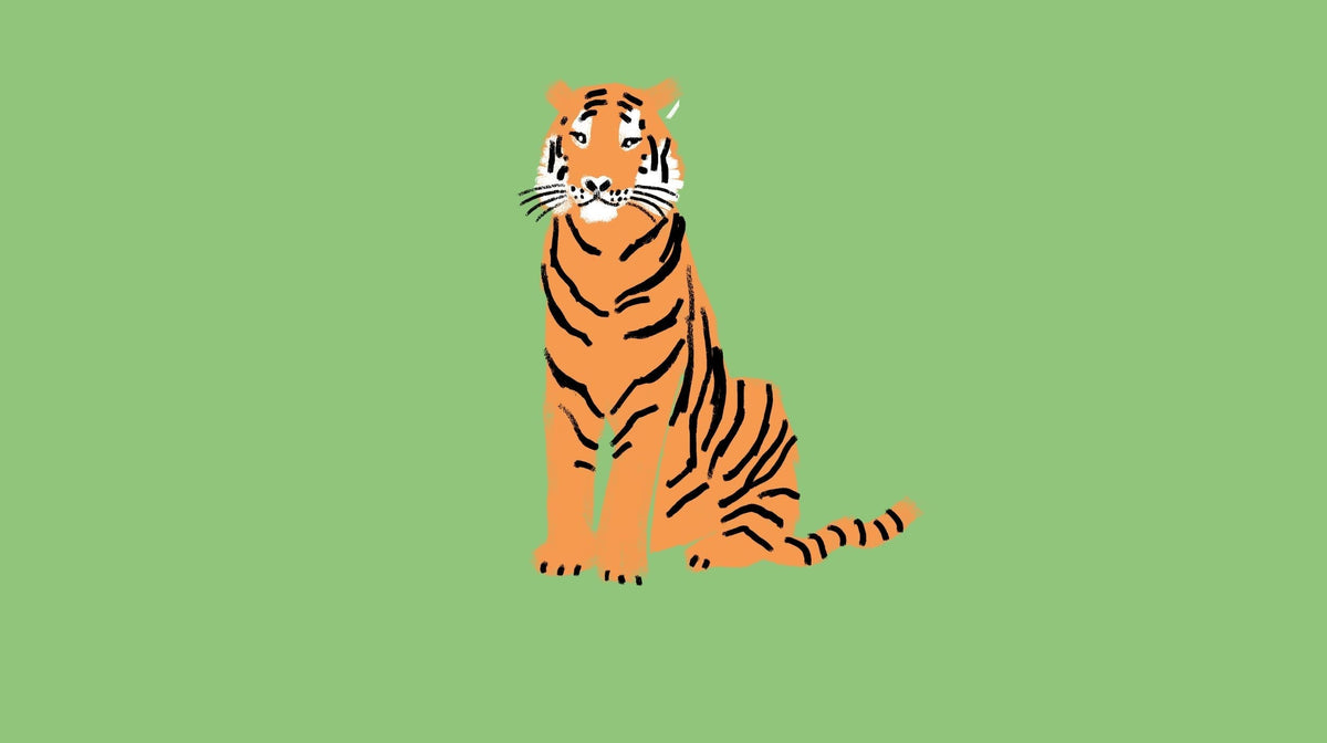 The Tiger's Story