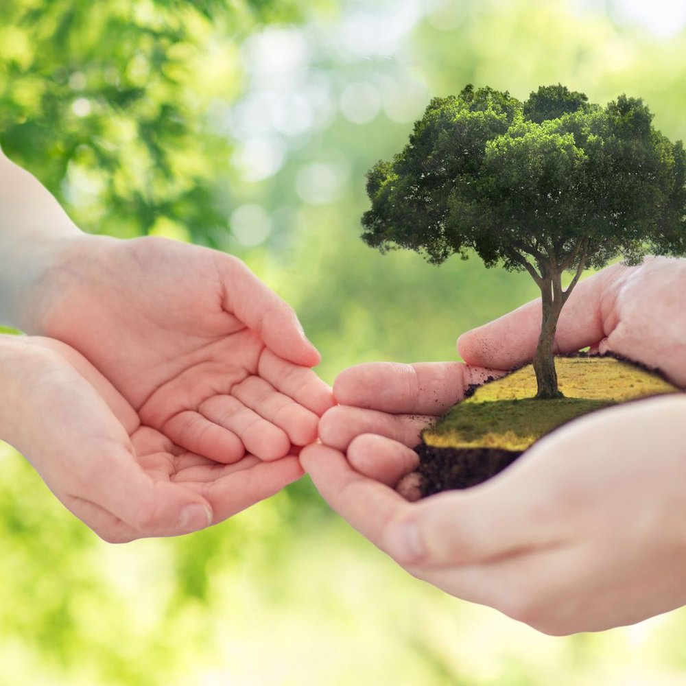 How to deal with our children's eco anxiety