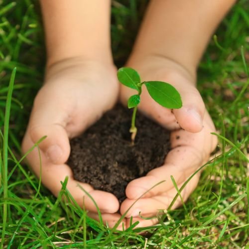 Digging deeper into soil: 10 amazing soil facts