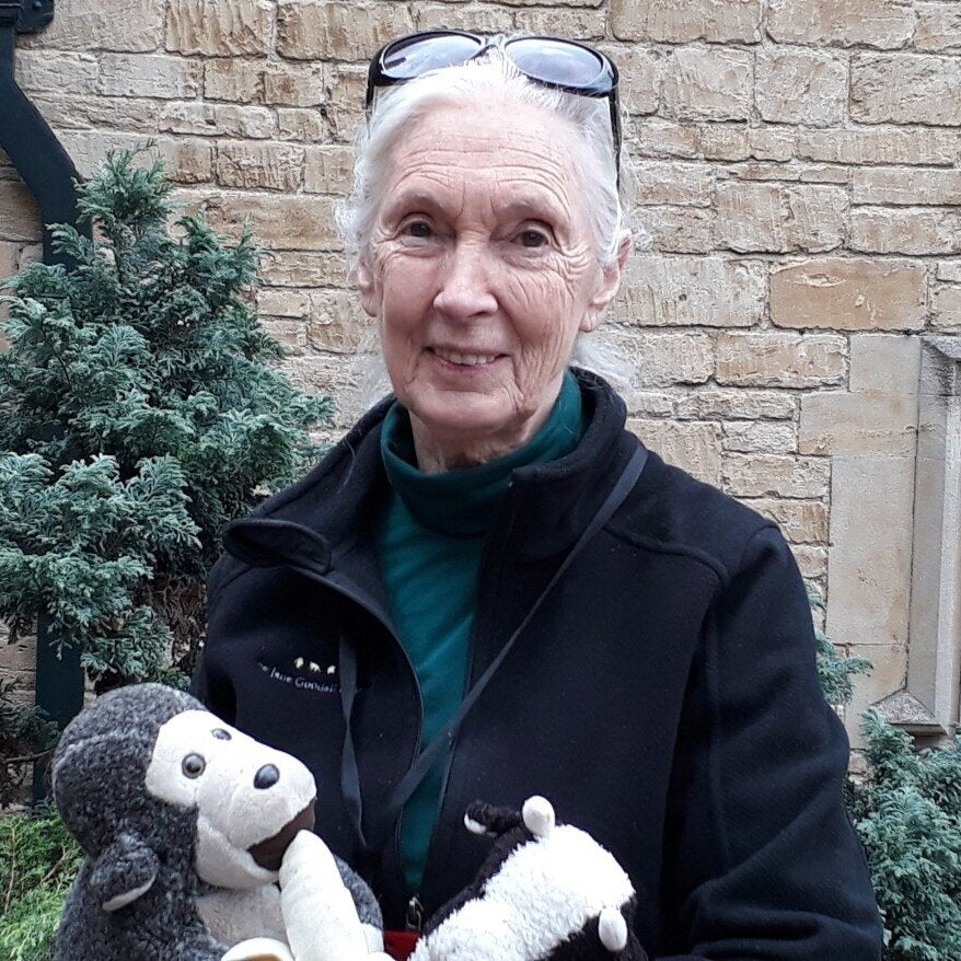 GUEST POST: Jane Goodall interview