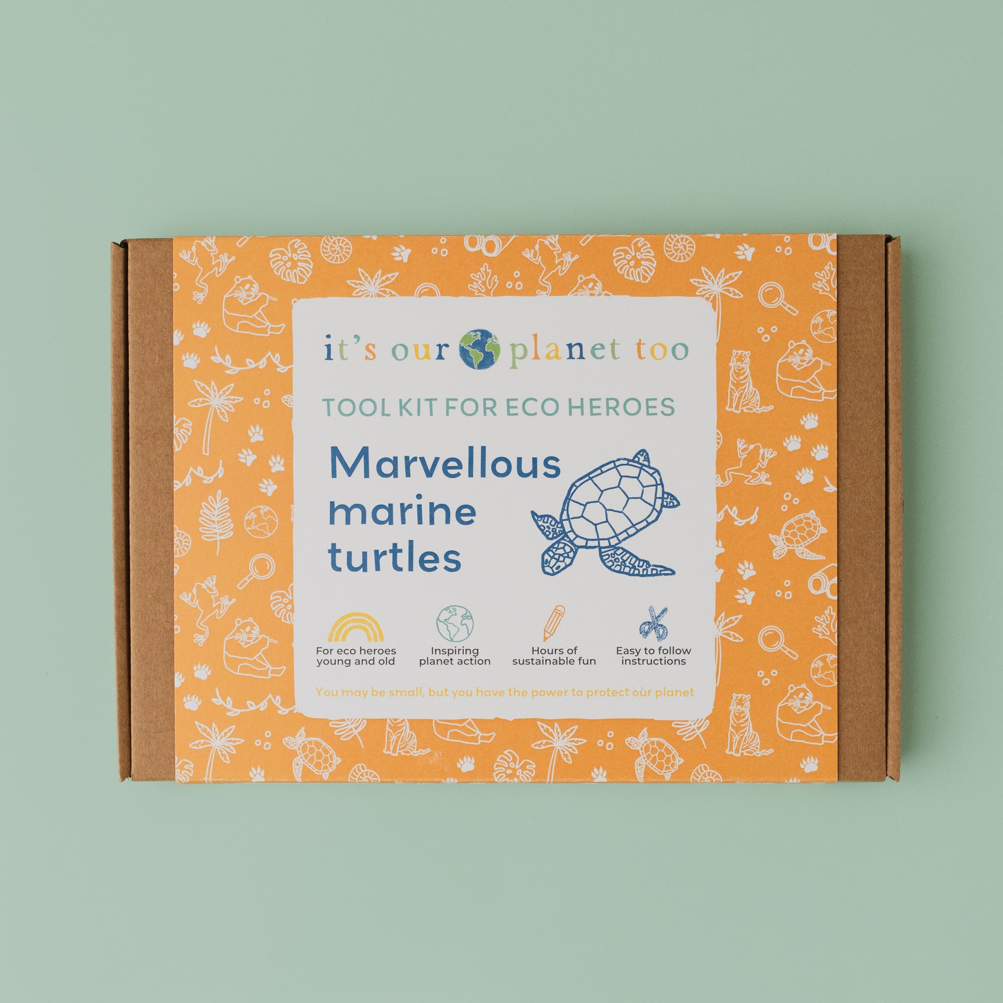 Marvellous marine turtles kit