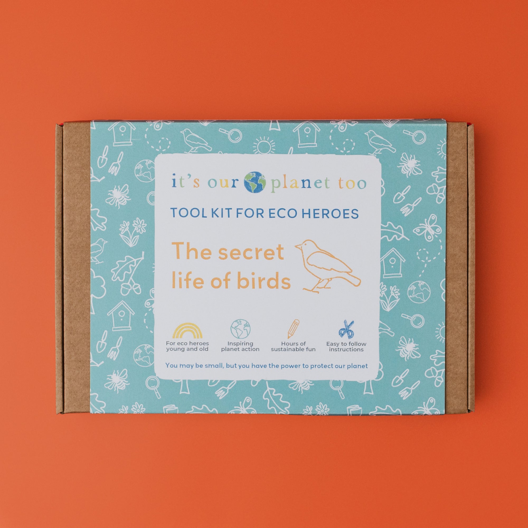 The secret life of birds kit