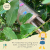 Incredible insects kit