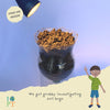 Incredible insects kit