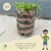 The secret life of birds kit
